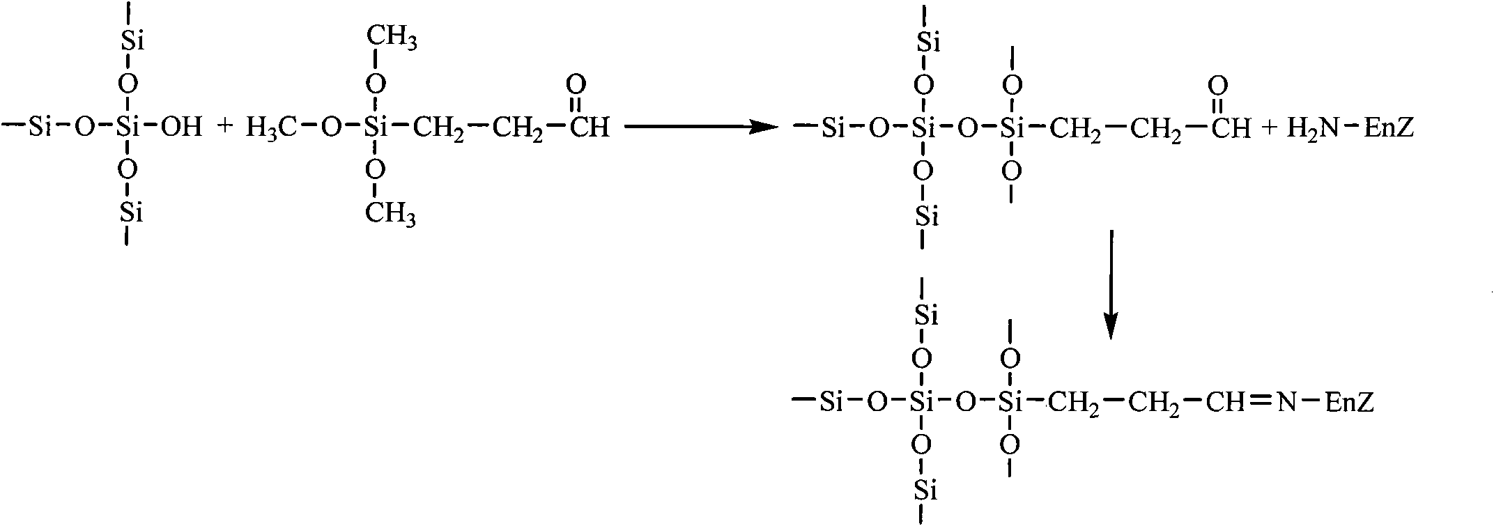 Aldehyde group mesoporous molecular sieve used for immobilization of biological enzyme and preparation method thereof