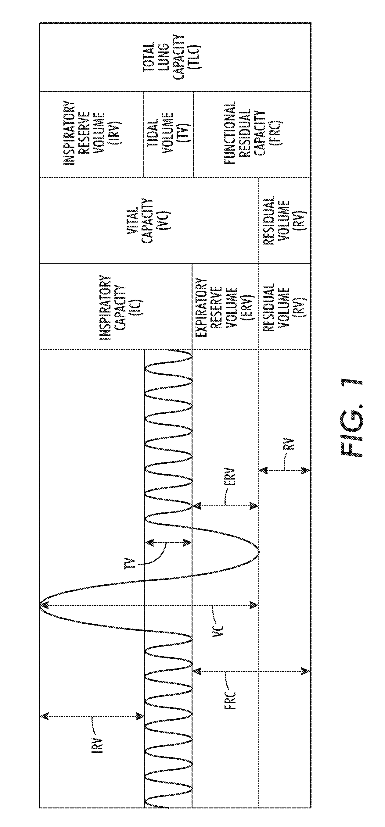 Respiratory function estimation from a 2D monocular video