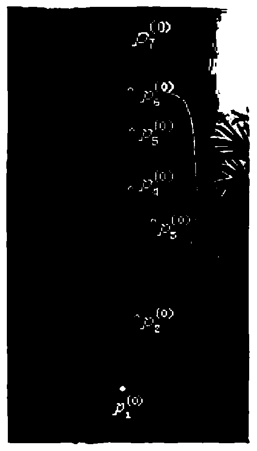 Height measuring method based on skeleton broken line Ridge regression