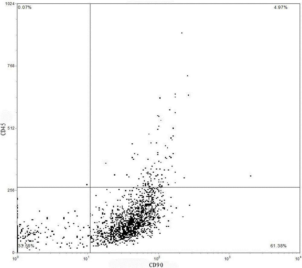 Method for rapidly obtaining and purifying human umbilical cord mesenchymal stem cells