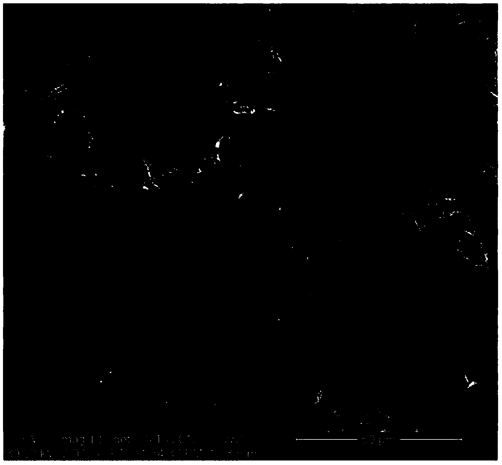 Preparation method of super-hydrophobic porous mesh for oil water separation