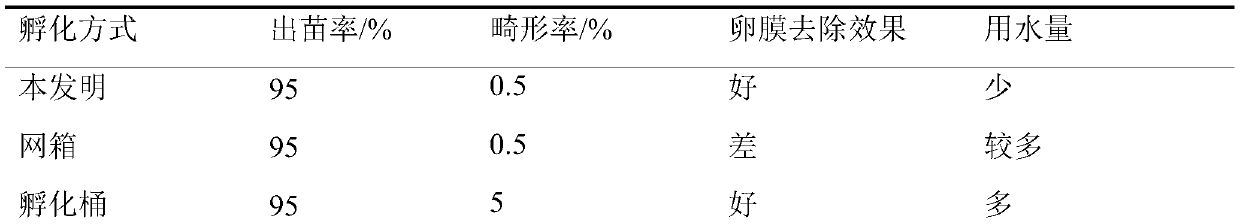 The incubation method of Taiwanese loach fertilized eggs without changing the water throughout the process