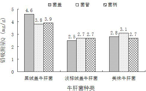 Heavy metal biological adsorbent and preparation method thereof