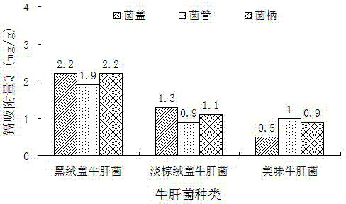 Heavy metal biological adsorbent and preparation method thereof