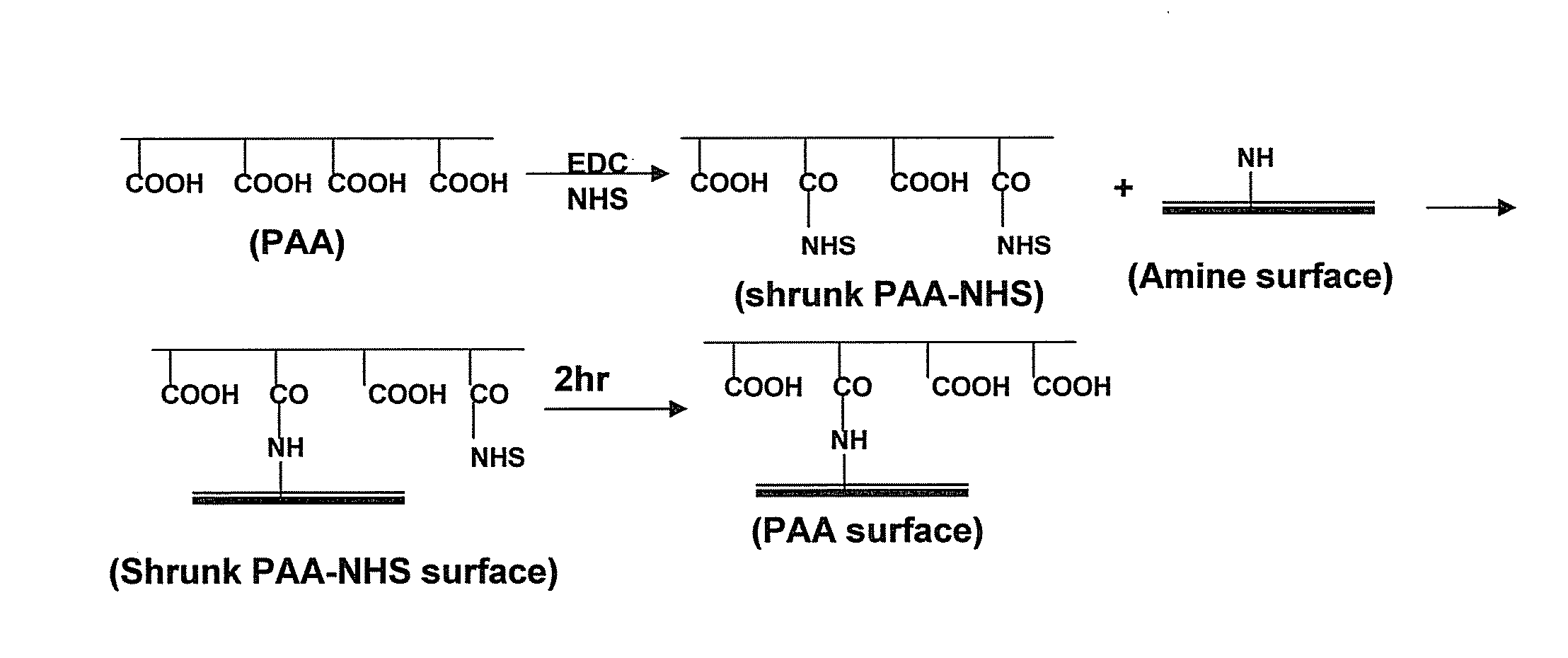 High-density polymer surface coating to immobilize chemical or biological molecules