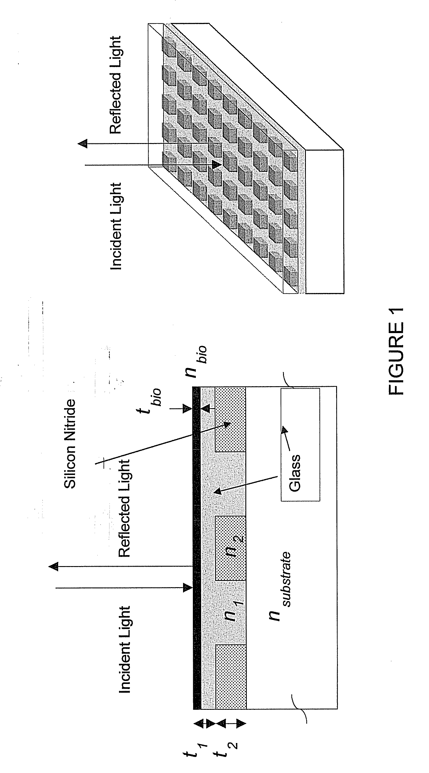 High-density polymer surface coating to immobilize chemical or biological molecules