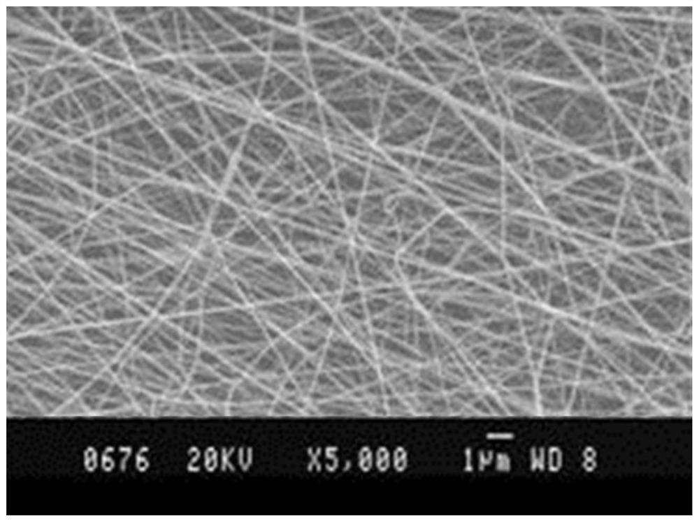 Nano mask and preparation method thereof