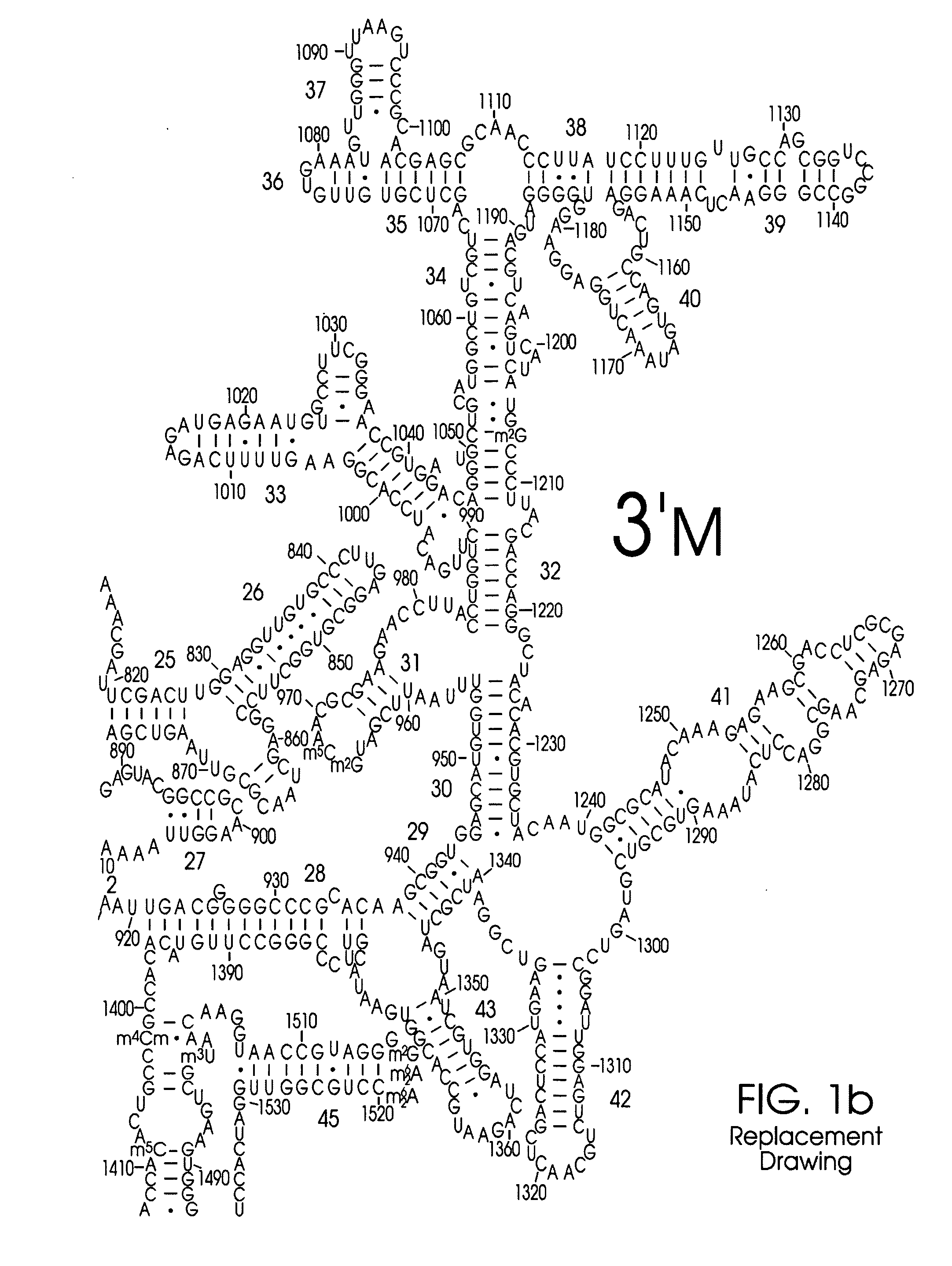 Use of Nucleic Acid Probes to Detect Nucleotide Sequences of Interest in a Sample