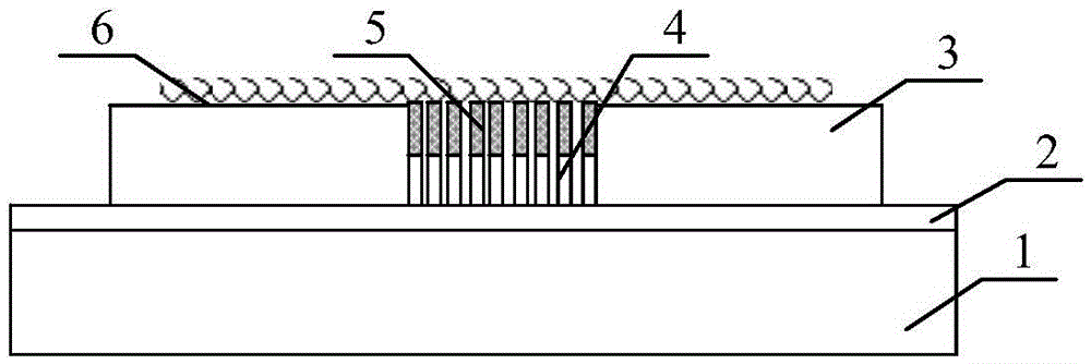 Two-dimensional transition metal chalcogenide homojunction photoelectric detector with perpendicular growth structure and preparation method therefor