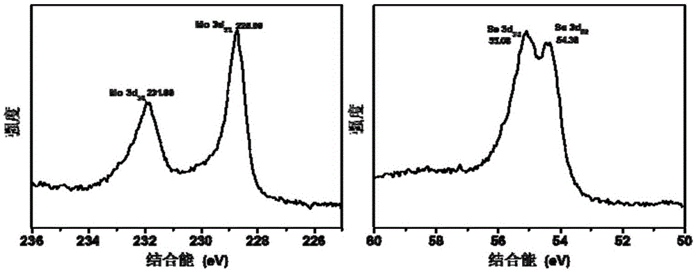 Two-dimensional transition metal chalcogenide homojunction photoelectric detector with perpendicular growth structure and preparation method therefor