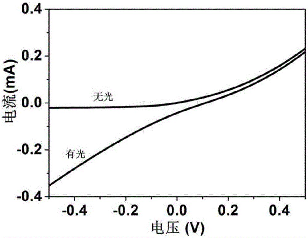 Two-dimensional transition metal chalcogenide homojunction photoelectric detector with perpendicular growth structure and preparation method therefor