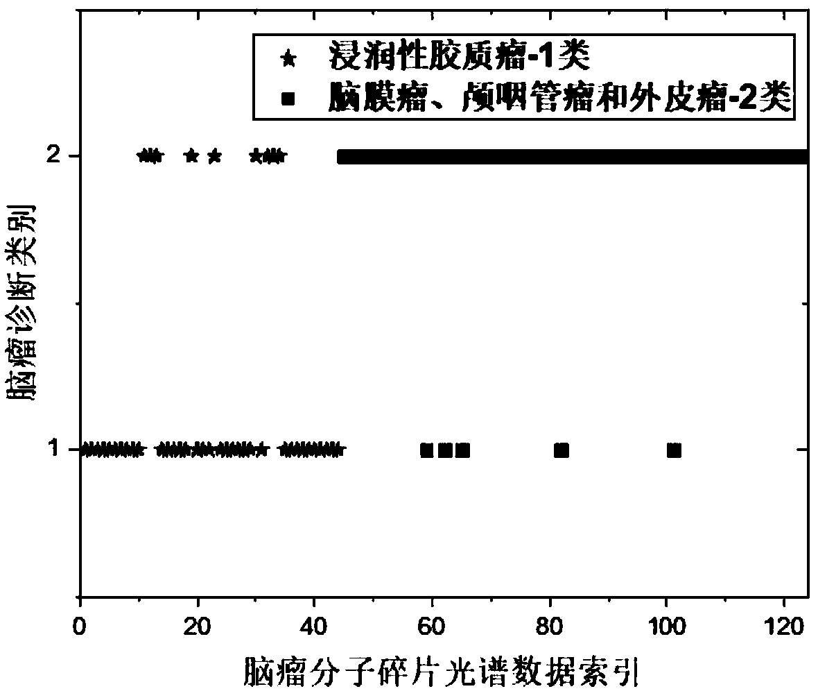 Tumor diagnosis method based on molecular fragment spectrum generated by interaction of light and substances