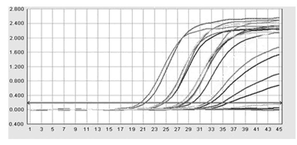 Method for detecting nucleic acid of porcine reproductive and respiratory syndrome virus in one step