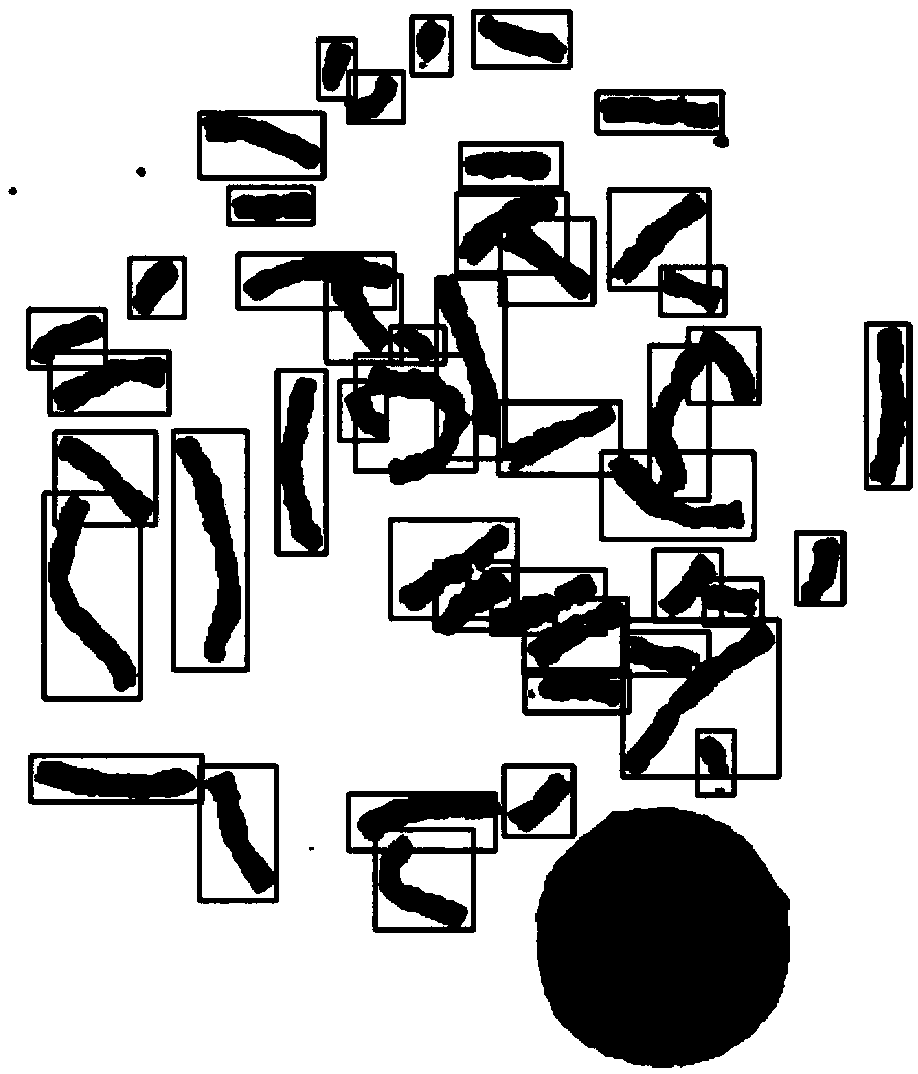 An automatic chromosome counting method based on depth learning