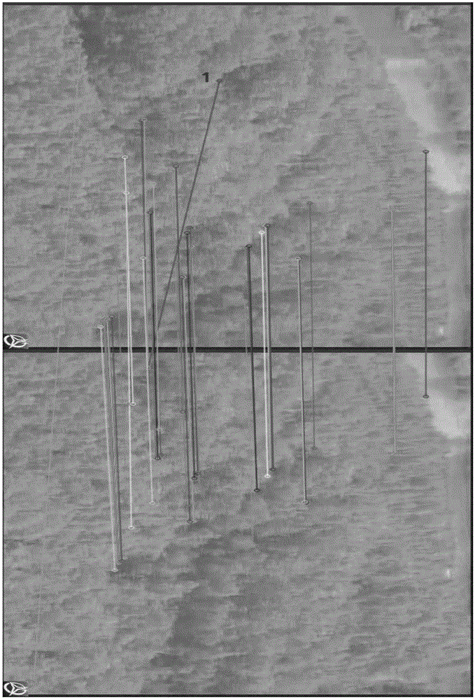 Video compensation method of eliminating line segment cross mismatching point