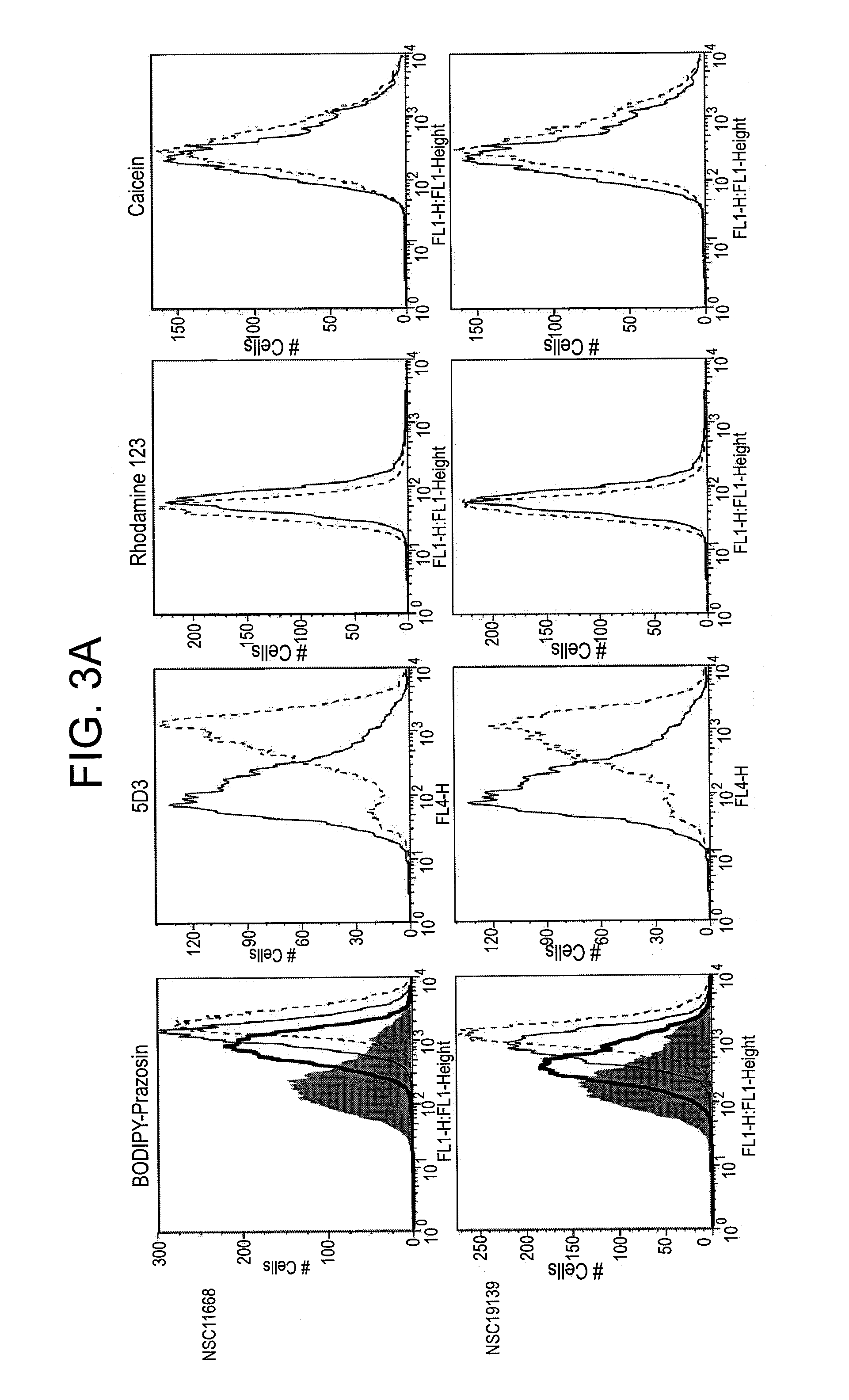 Method of inhibiting ABCG2 and related treatments