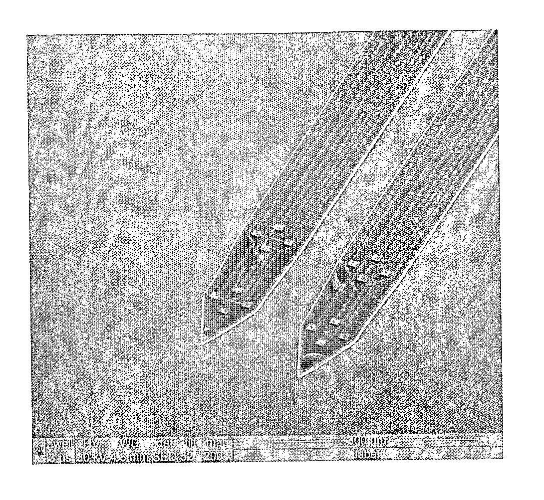 Microfabricated Neural Probes and Methods of Making Same