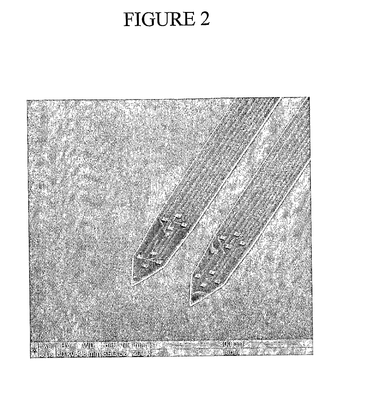 Microfabricated Neural Probes and Methods of Making Same