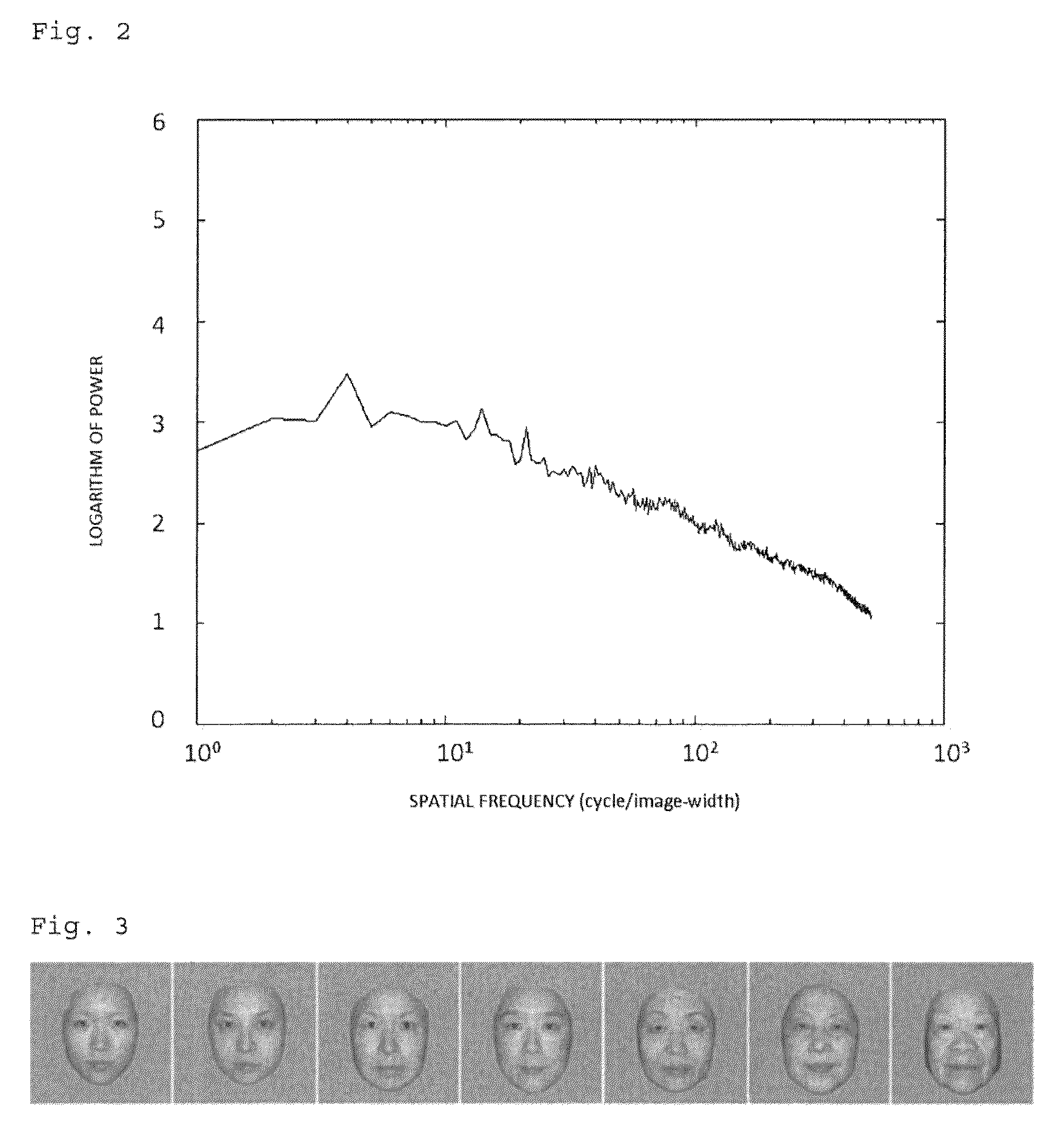 Age estimation method and sex determination method