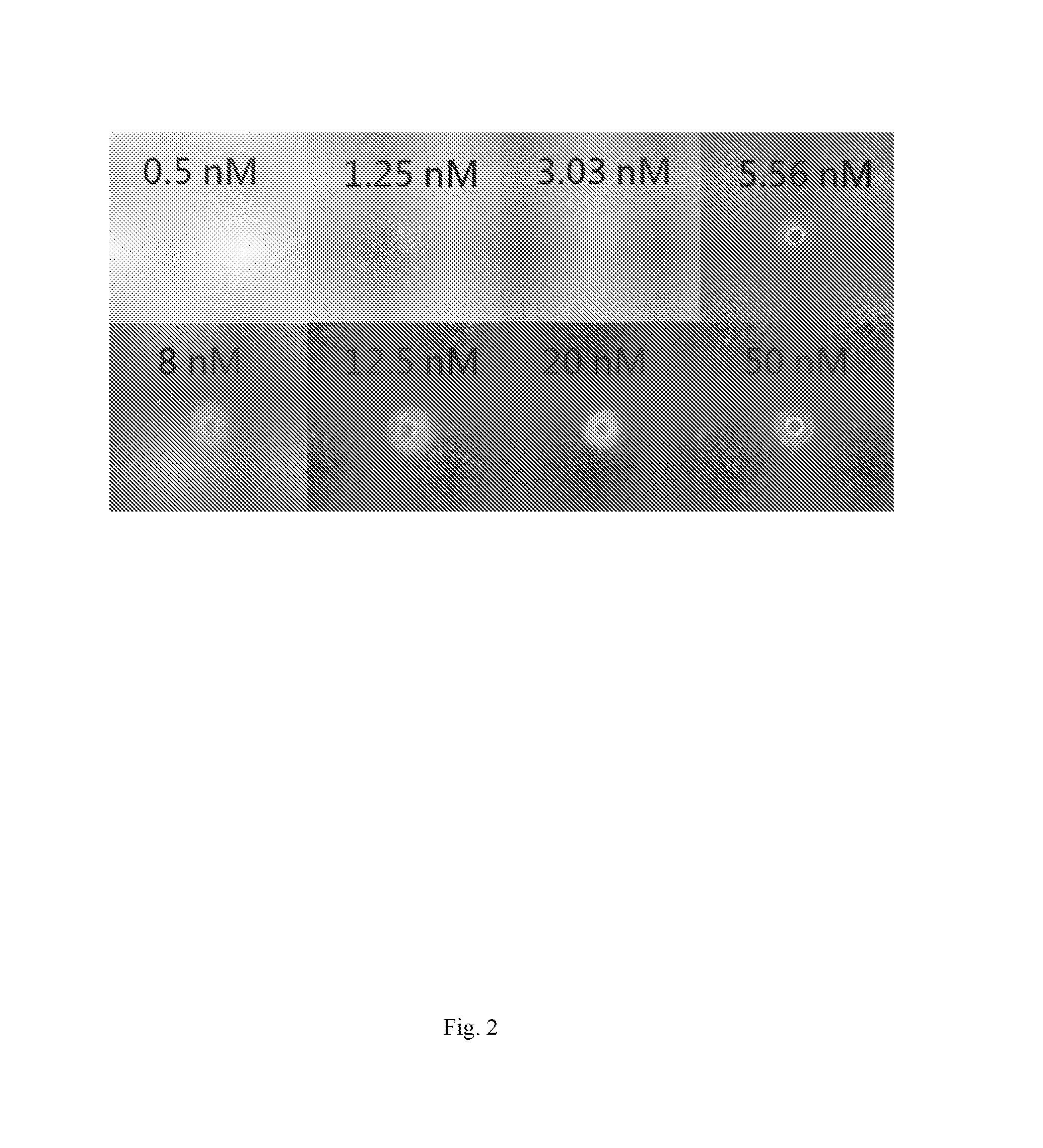 Method for analyzing molecule using thermophoresis