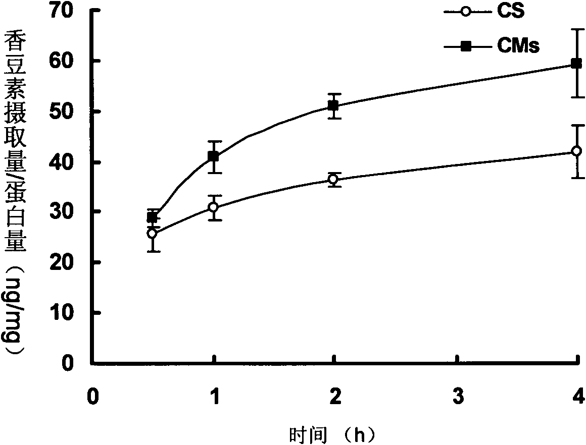 Phosphate-based drug delivery system for intracerebral drug delivery