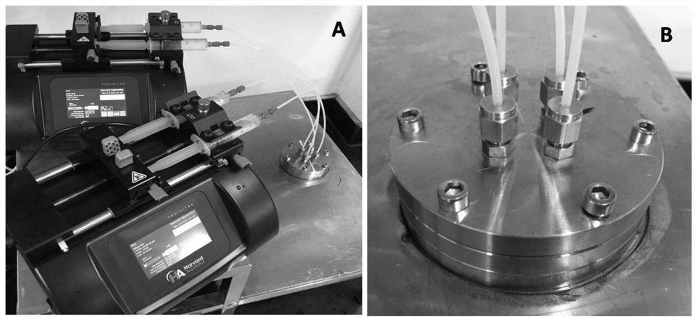 Nanoparticles loaded with therapeutic protein and preparation method thereof