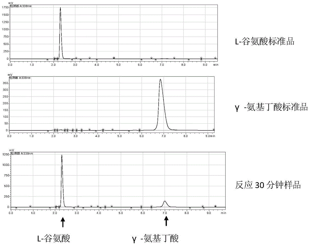 Engineering bacteria for producing gamma-aminobutyric acid and construction method and application thereof