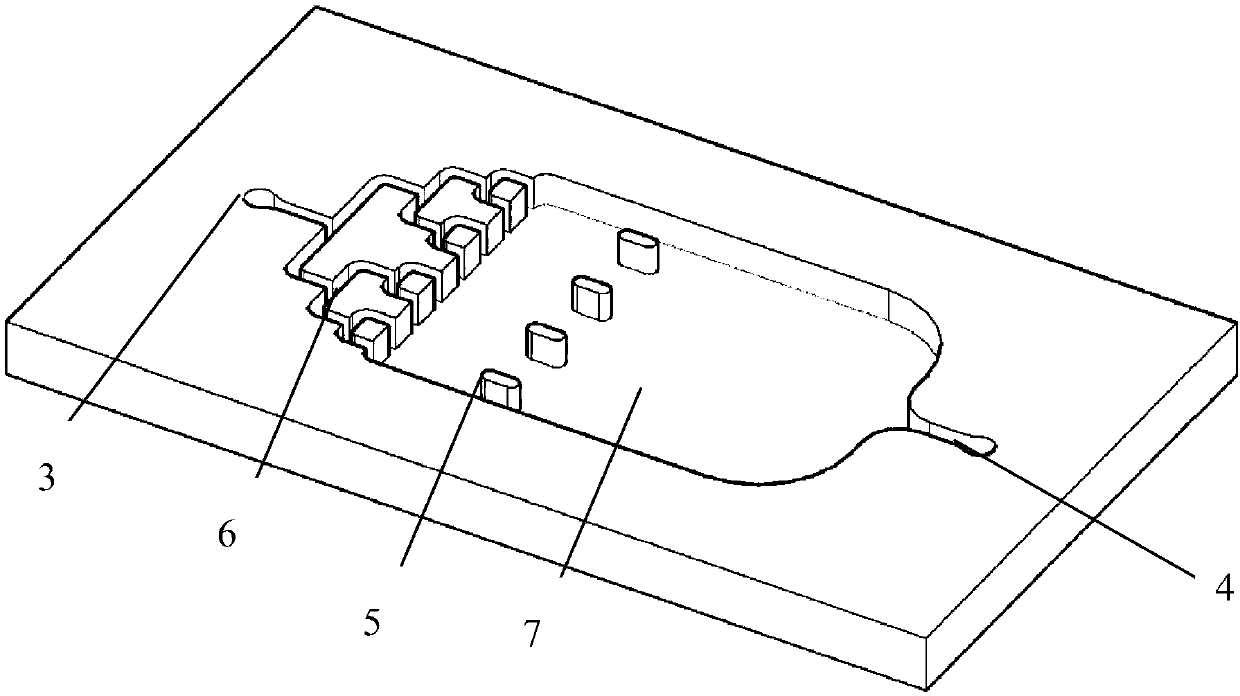 Heart chip on basis of structural color hydrogel and application of heart chip