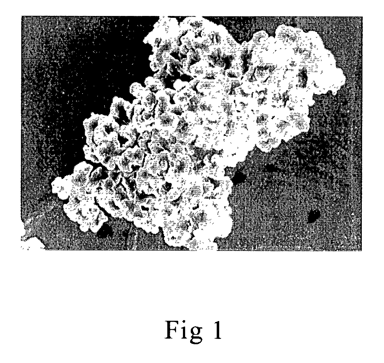 Liquid and gas porous plastic filter and methods of use