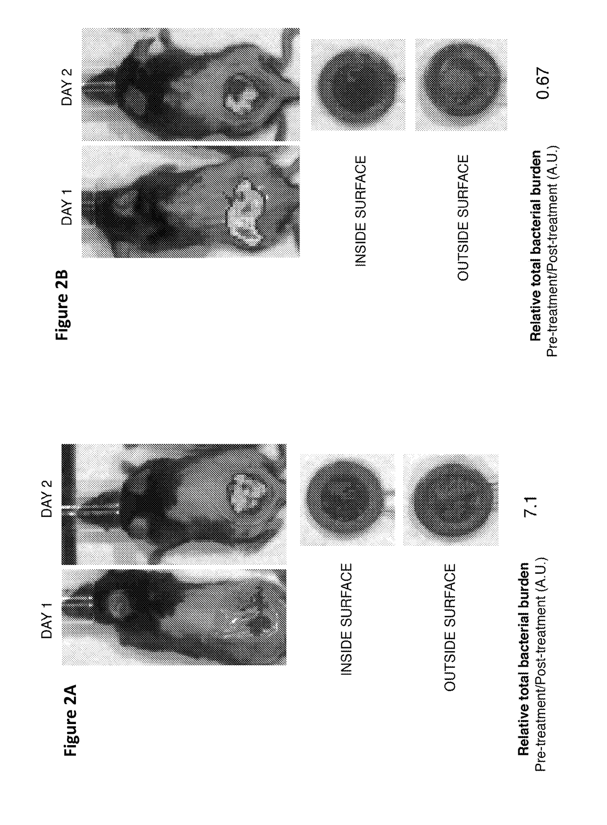 Wound packing material comprising chemoeffector