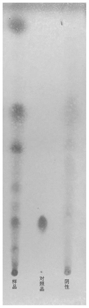 Traditional Chinese medicine composition as well as preparation method and application thereof