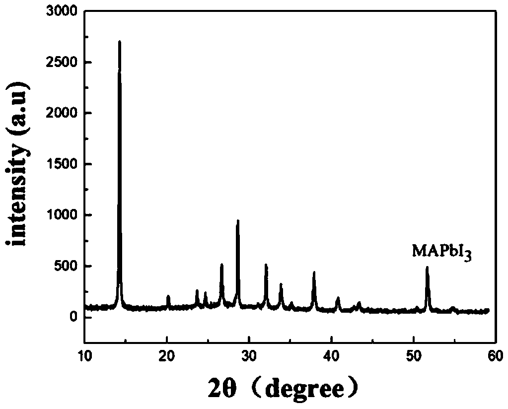 Method for preparing perovskite thin film by dynamic spin coating