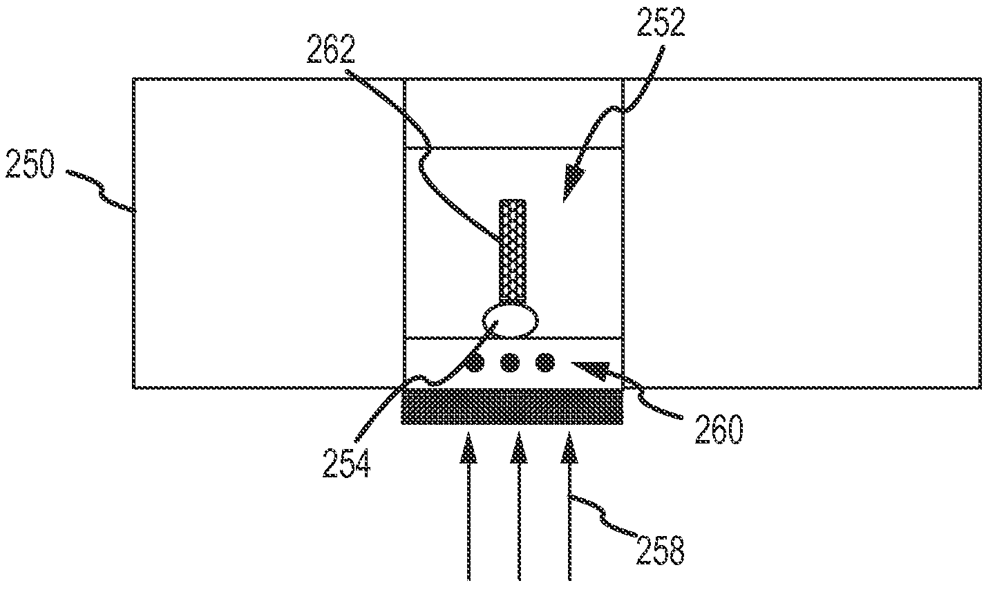 System and method for nanotube growth via ion implantation using a catalytic transmembrane