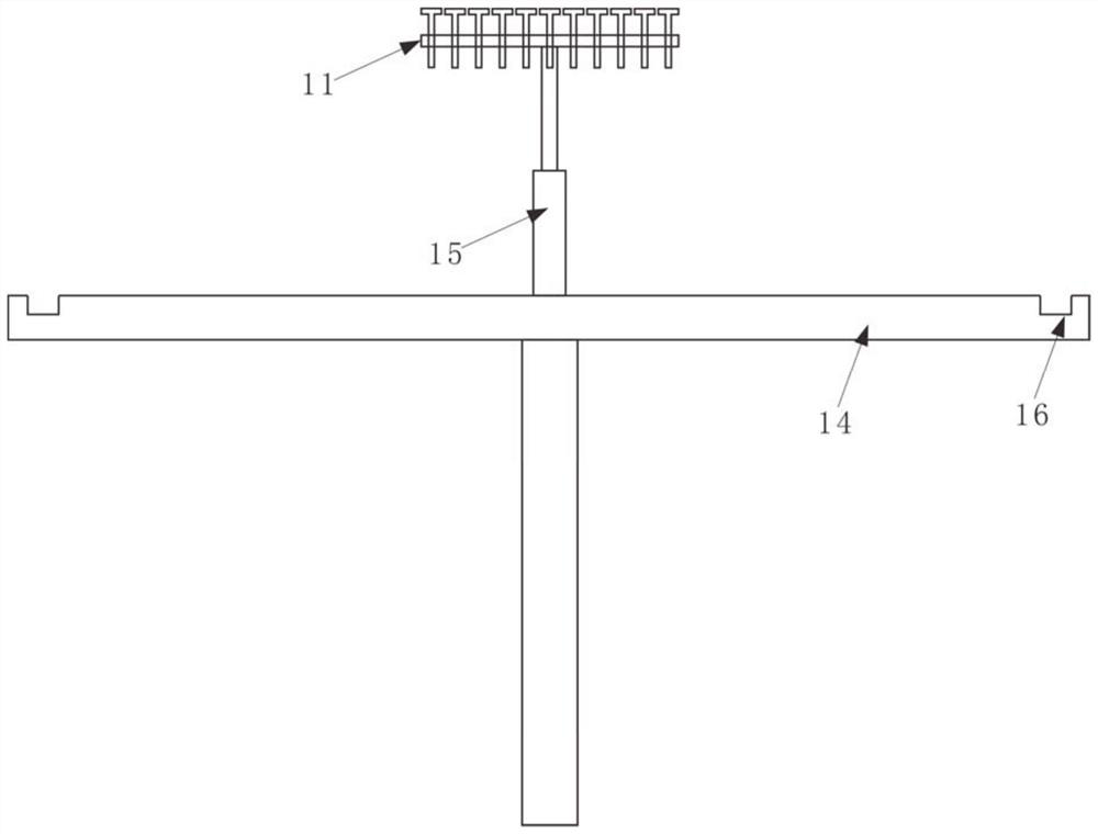 A live fish specimen shooting device and method