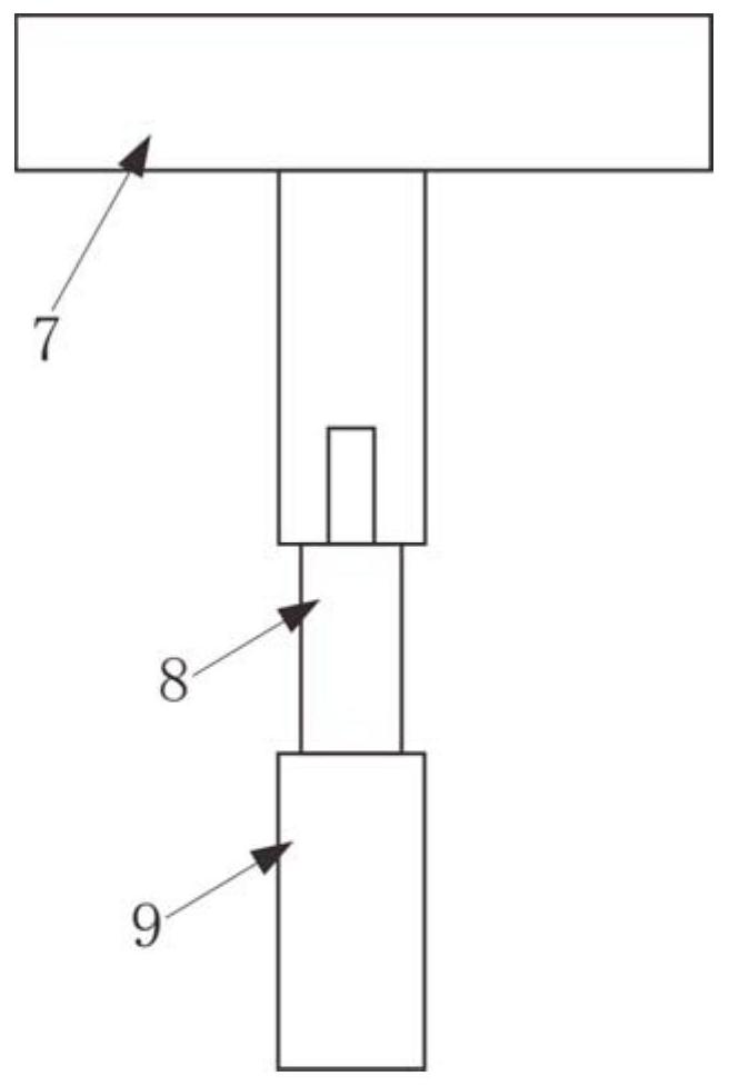 A live fish specimen shooting device and method