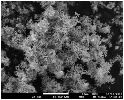 Coating material for functional interlayer of lithium-sulfur battery and preparation method thereof