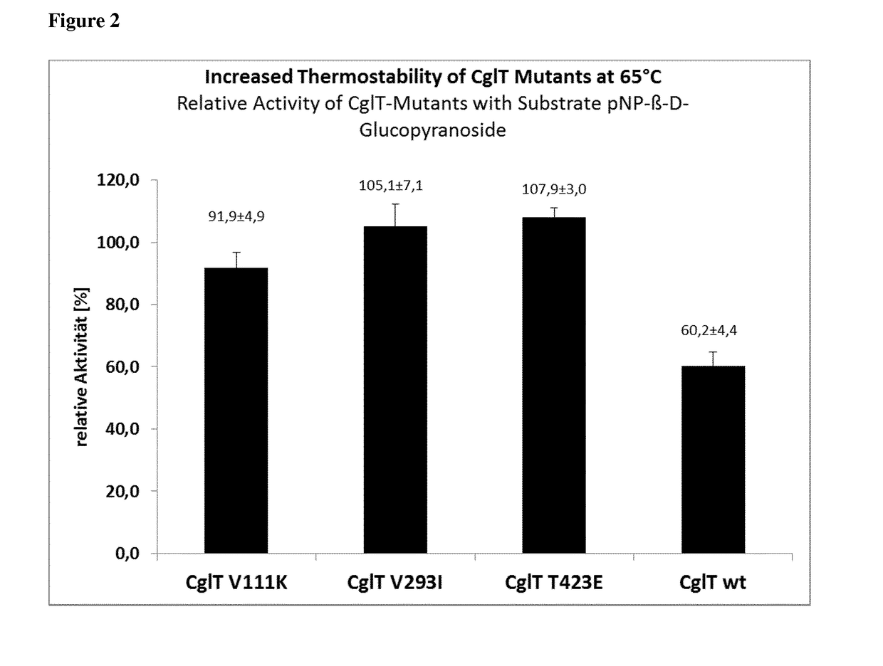 Mutant beta-glucosidase variants with increased thermostability