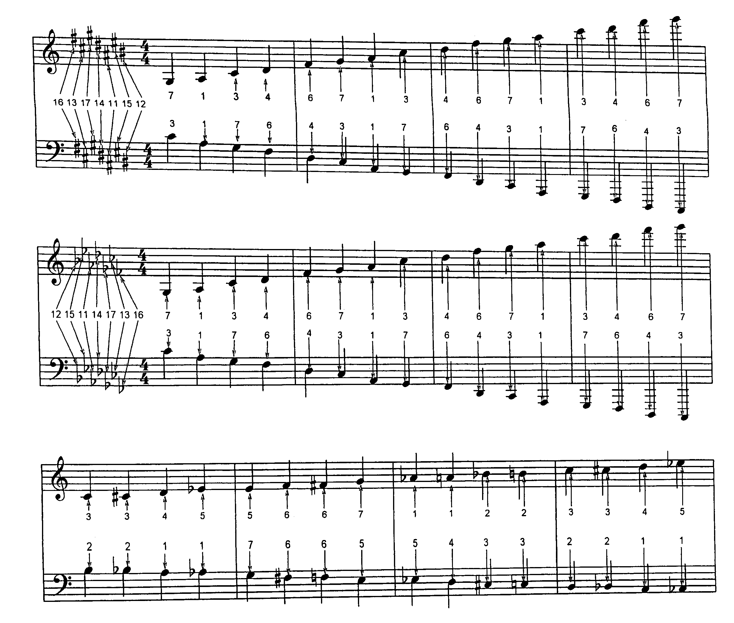 Colored music notation system and method of colorizing music notation