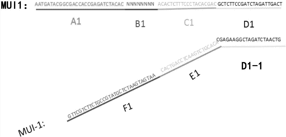 Linker sequence and method for detecting ultra-low frequency mutation of target sequence