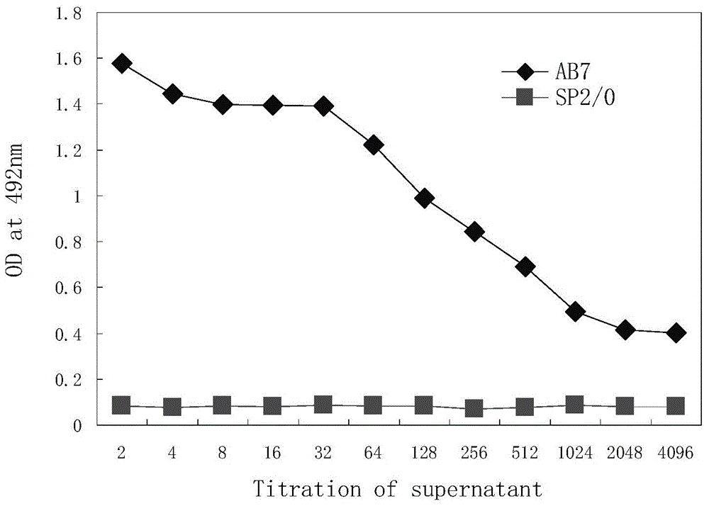 Monoclonal antibodies for antagonizing and inhibiting combination of programmed death-1 (PD-1) and ligands of PD-1, hybridoma cell line secreting monoclonal antibodies and application of monoclonal antibodies