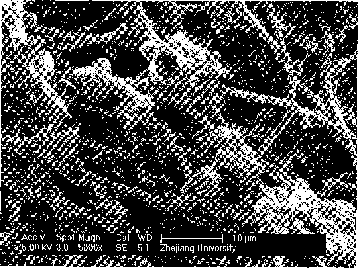 Method for preparing similar bone bioactivity coatings medical material by galvano-chemistry method