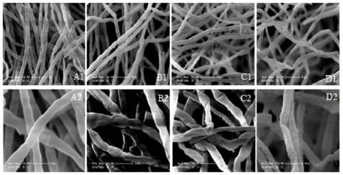 A kind of biological fungicide and preparation method thereof