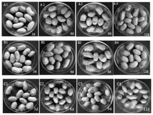 A kind of biological fungicide and preparation method thereof