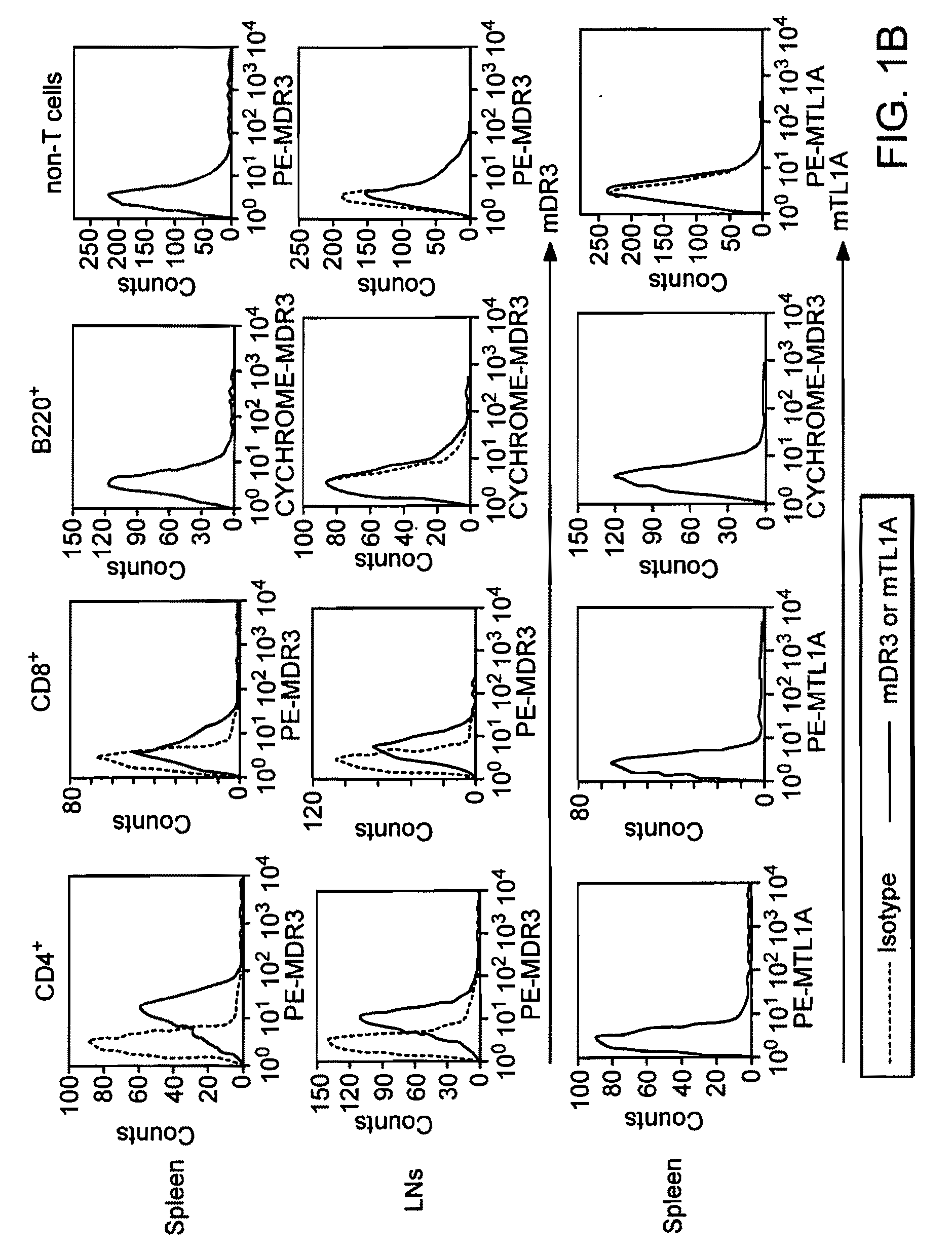 Compositions and methods for treating inflammatory lung disease