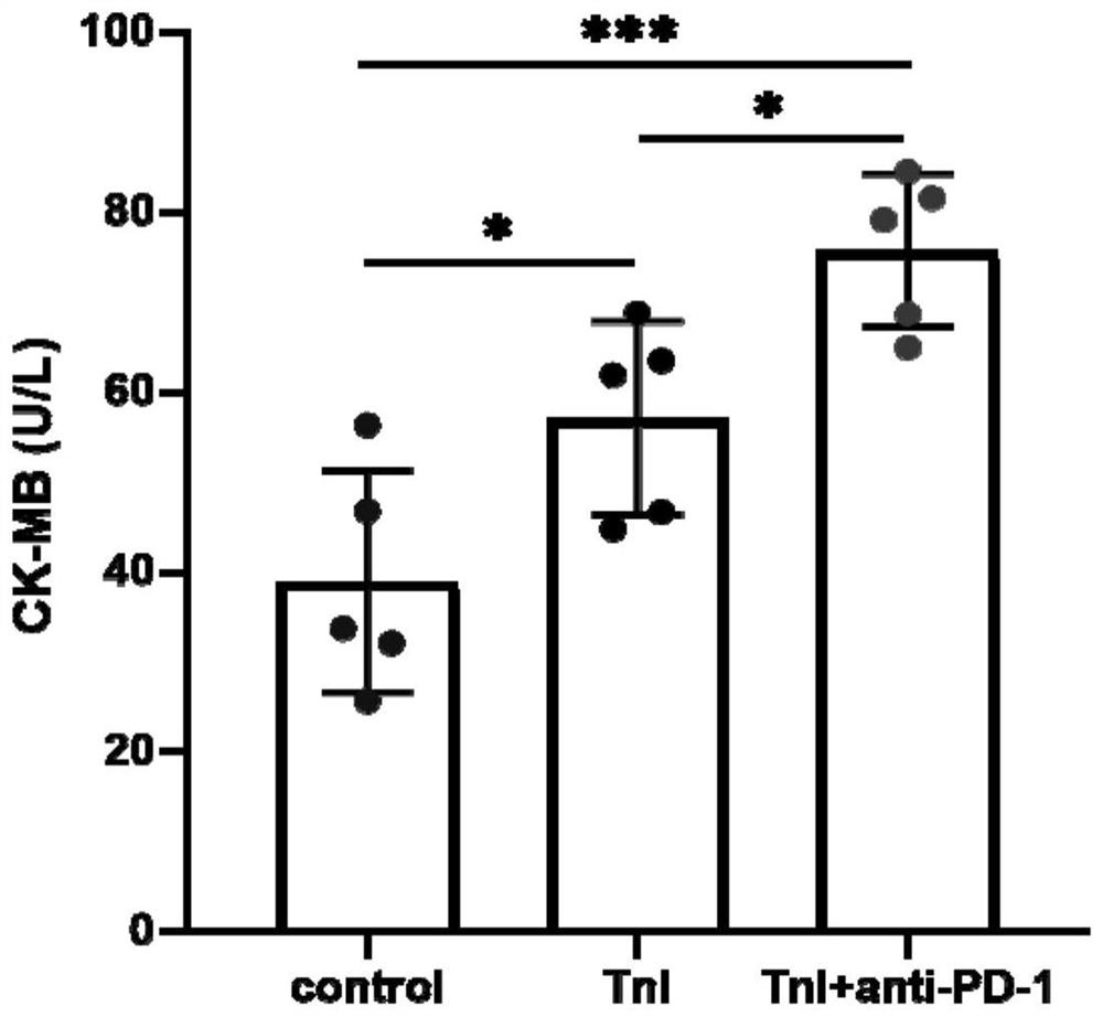 Immune checkpoint inhibitor related myocarditis mouse model and construction method