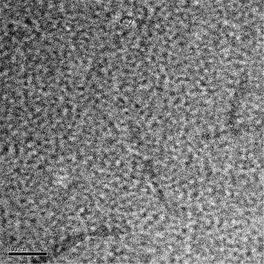 Block sulfonated polyphenylene, and preparation method and application thereof