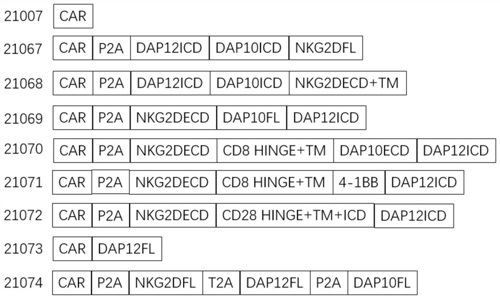 Novel chimeric receptor composition, recombinant vector, cell and application thereof