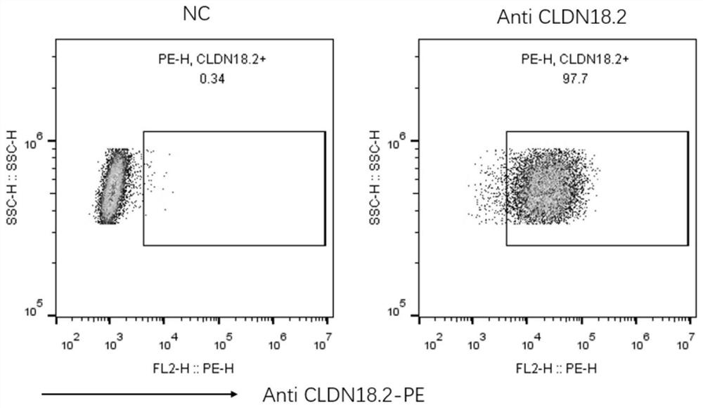 Novel chimeric receptor composition, recombinant vector, cell and application thereof