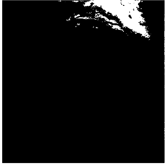 CT-XA-image- multi-dimensional fused-based simulation navigation system and method