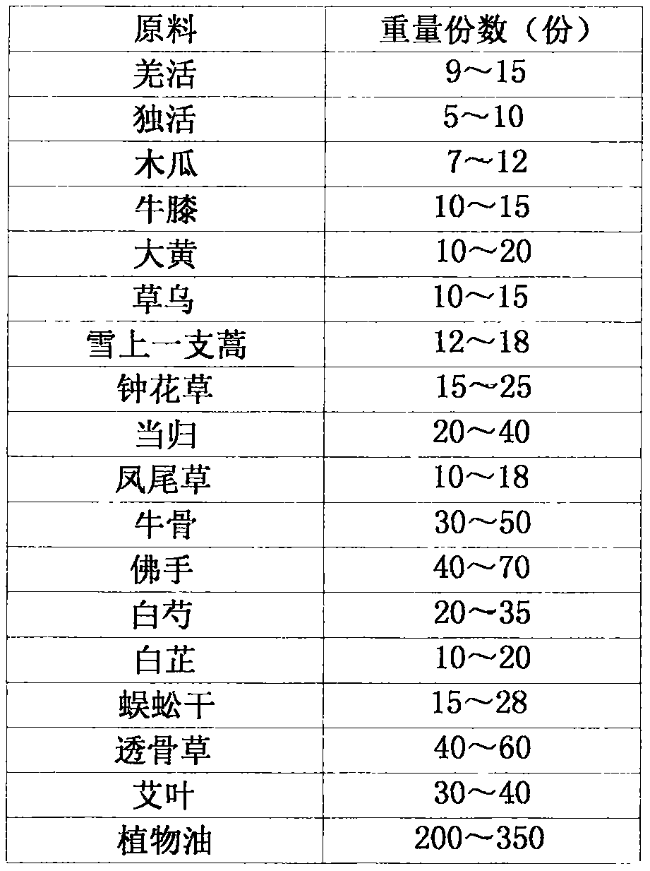 Traditional Chinese medicine composition for treating fracture and rheumatic bone diseases and method for preparing traditional Chinese medicine composition